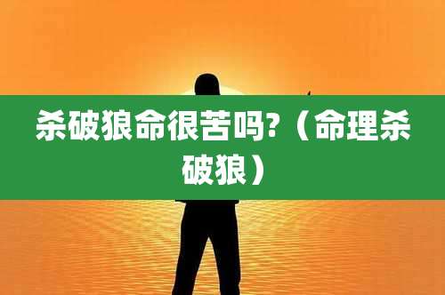 杀破狼命很苦吗?(命理杀破狼)