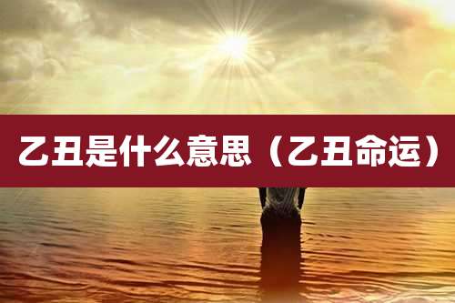 乙丑是什么意思(乙丑命运)