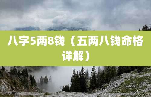 八字5两8钱(五两八钱命格详解)