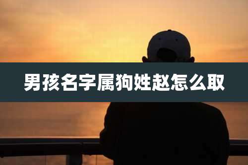 男孩名字属狗姓赵怎么取