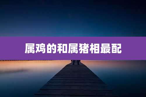 属鸡的和属猪相最配