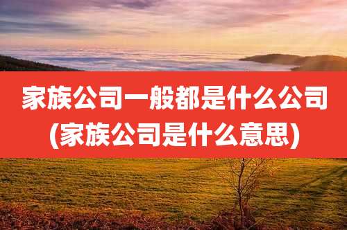 家族公司一般都是什么公司(家族公司是什么意思)