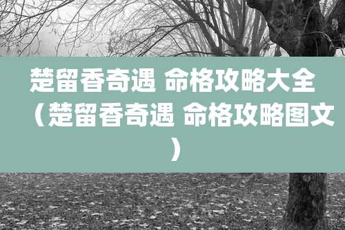 楚留香奇遇 命格攻略大全（楚留香奇遇 命格攻略图文）