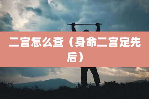 二宫怎么查(身命二宫定先后)