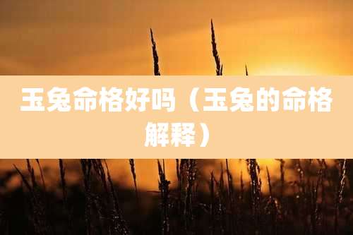 玉兔命格好吗(玉兔的命格解释)