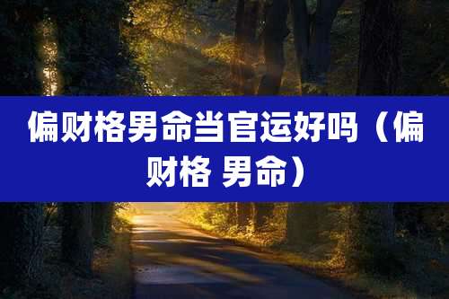 偏财格男命当官运好吗(偏财格 男命)