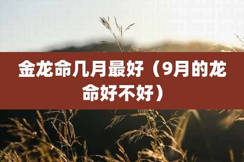 金龙命几月最好(9月的龙命好不好)