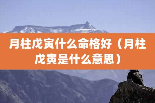 月柱戊寅什么命格好(月柱戊寅是什么意思)