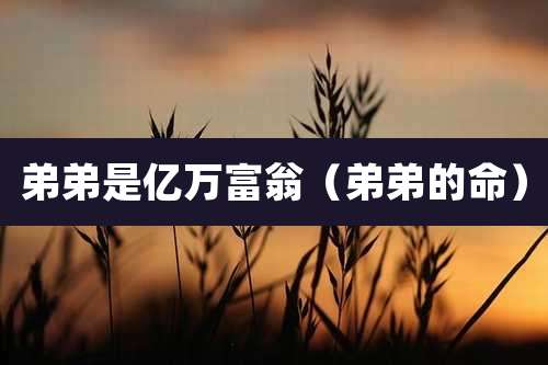 弟弟是亿万富翁（弟弟的命）