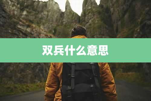 双兵什么意思