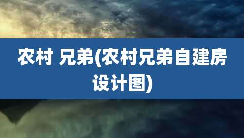 农村 兄弟(农村兄弟自建房设计图)