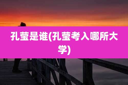 孔莹是谁(孔莹考入哪所大学)