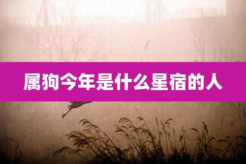 属狗今年是什么星宿的人