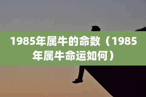 1985年属牛的命数(1985年属牛命运如何)