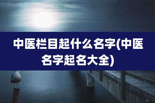 中医栏目起什么名字(中医名字起名大全)