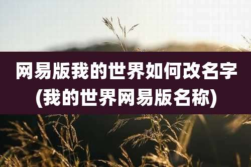网易版我的世界如何改名字(我的世界网易版名称)