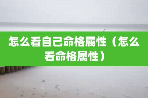 怎么看自己命格属性（怎么看命格属性）