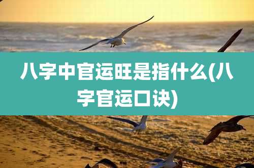 八字中官运旺是指什么(八字官运口诀)