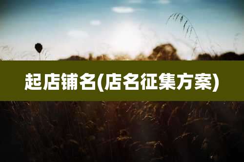 起店铺名(店名征集方案)