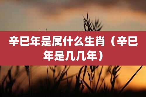 辛巳年是属什么生肖（辛巳年是几几年）