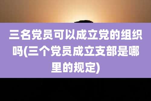 三名党员可以成立党的组织吗(三个党员成立支部是哪里的规定)