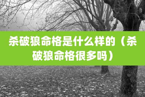 杀破狼命格是什么样的（杀破狼命格很多吗）