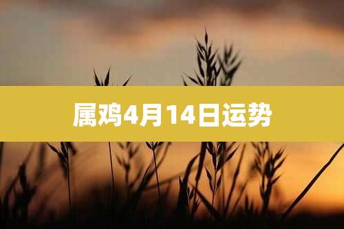 属鸡4月14日运势