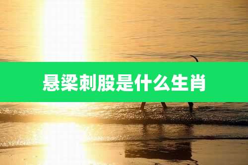 悬梁刺股是什么生肖