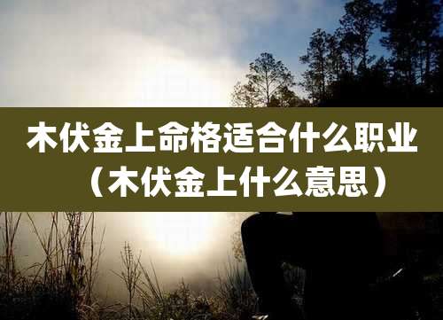 木伏金上命格适合什么职业(木伏金上什么意思)