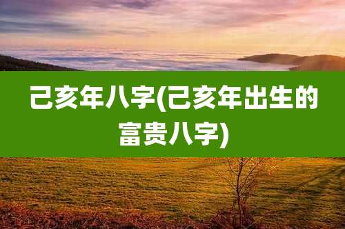 己亥年八字(己亥年出生的富贵八字)