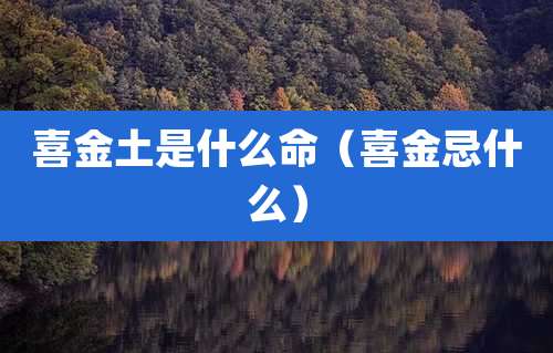 喜金土是什么命(喜金忌什么)