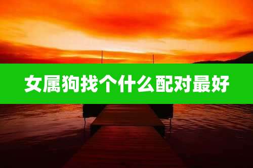 女属狗找个什么配对最好