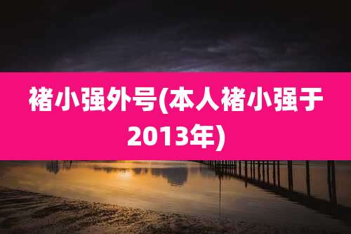 褚小强外号(本人褚小强于2013年)