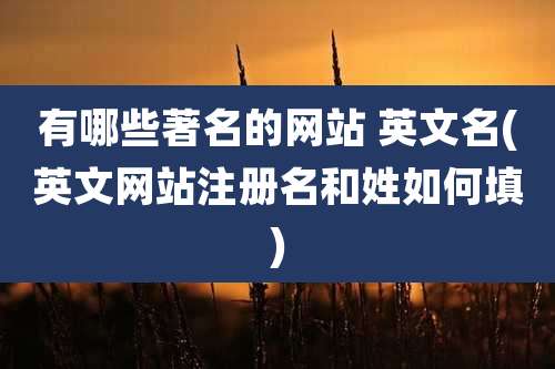 有哪些著名的网站 英文名(英文网站注册名和姓如何填)