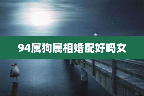 94属狗属相婚配好吗女