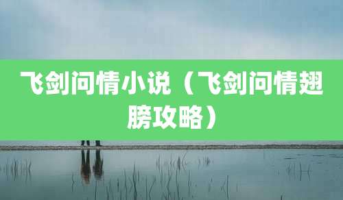 飞剑问情小说（飞剑问情翅膀攻略）