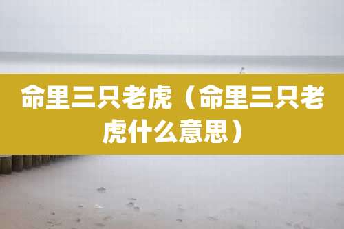 命里三只老虎(命里三只老虎什么意思)