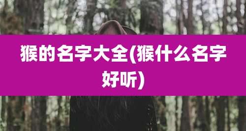 猴的名字大全(猴什么名字好听)