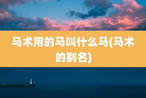 马术用的马叫什么马(马术的别名)