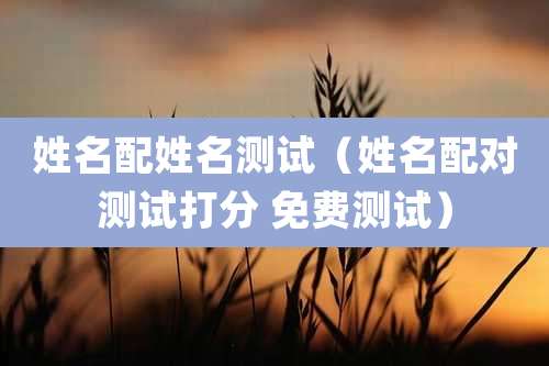 姓名配姓名测试（姓名配对测试打分 免费测试）