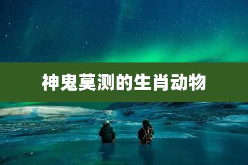 神鬼莫测的生肖动物