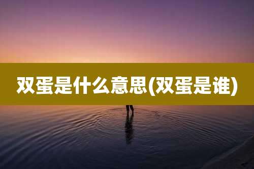 双蛋是什么意思(双蛋是谁)