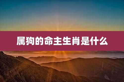 属狗的命主生肖是什么
