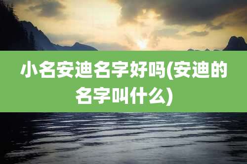 小名安迪名字好吗(安迪的名字叫什么)