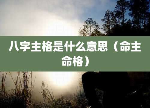 八字主格是什么意思（命主命格）