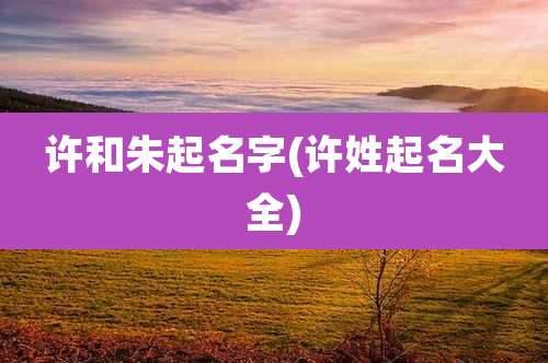 许和朱起名字(许姓起名大全)