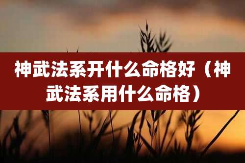 神武法系开什么命格好（神武法系用什么命格）