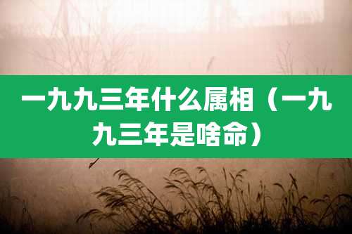 一九九三年什么属相（一九九三年是啥命）