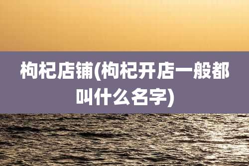 枸杞店铺(枸杞开店一般都叫什么名字)