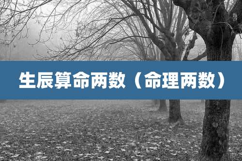 生辰算命两数（命理两数）